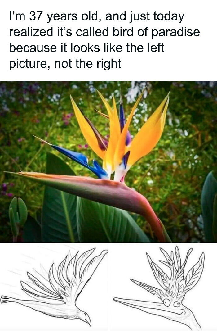 62 Random Memes That Have Absolutely No Agenda But To Make You Laugh Today 62 Random Memes That Have Absolutely No Agenda But To Make You Laugh Today