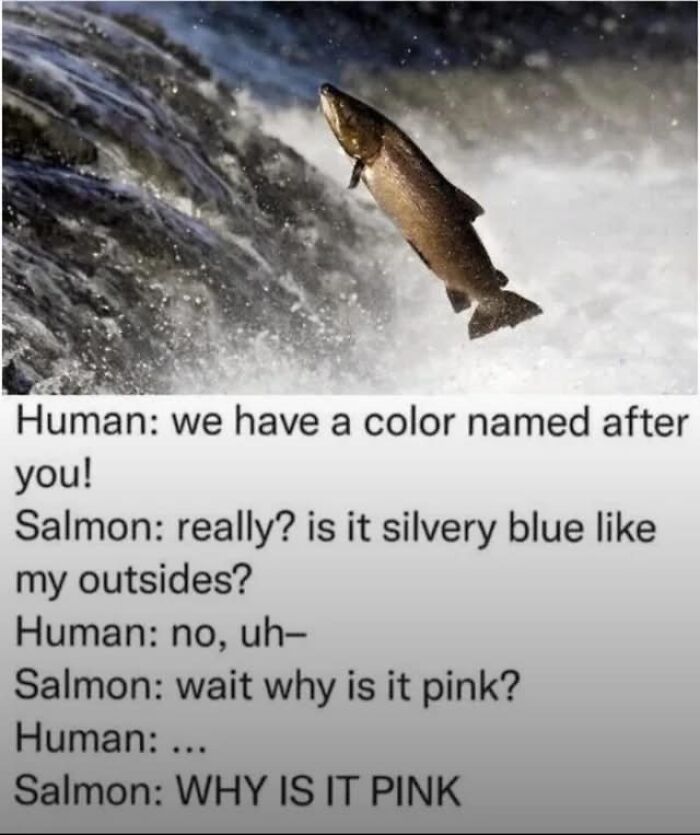 62 Random Memes That Have Absolutely No Agenda But To Make You Laugh Today 62 Random Memes That Have Absolutely No Agenda But To Make You Laugh Today