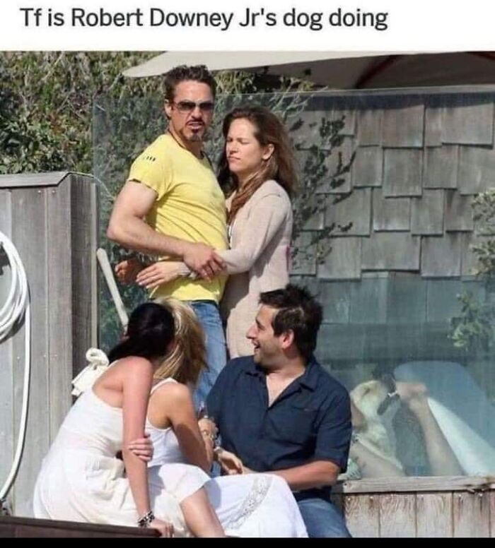 62 Random Memes That Have Absolutely No Agenda But To Make You Laugh Today 62 Random Memes That Have Absolutely No Agenda But To Make You Laugh Today