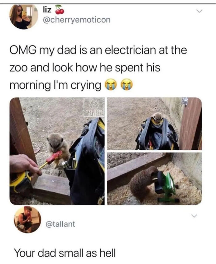62 Random Memes That Have Absolutely No Agenda But To Make You Laugh Today 62 Random Memes That Have Absolutely No Agenda But To Make You Laugh Today