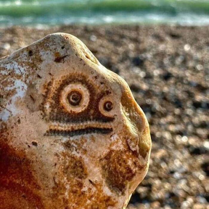 80 Random Objects That Accidentally Look Like They&rsquo;re Staring Right At You
