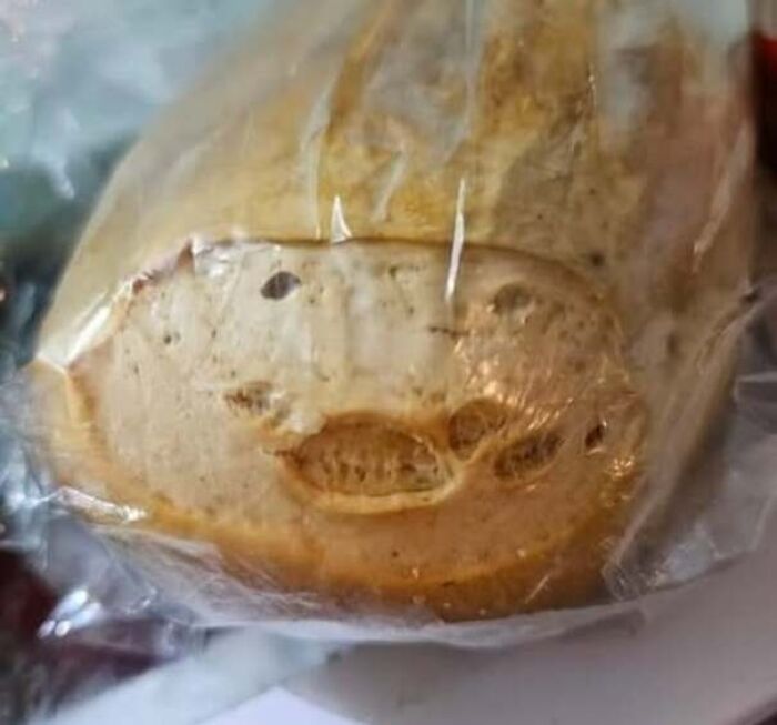 80 Random Objects That Accidentally Look Like They&rsquo;re Staring Right At You