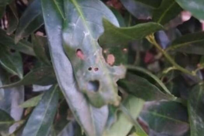 80 Random Objects That Accidentally Look Like They&rsquo;re Staring Right At You