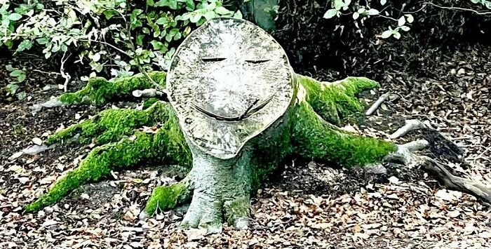 80 Random Objects That Accidentally Look Like They&rsquo;re Staring Right At You