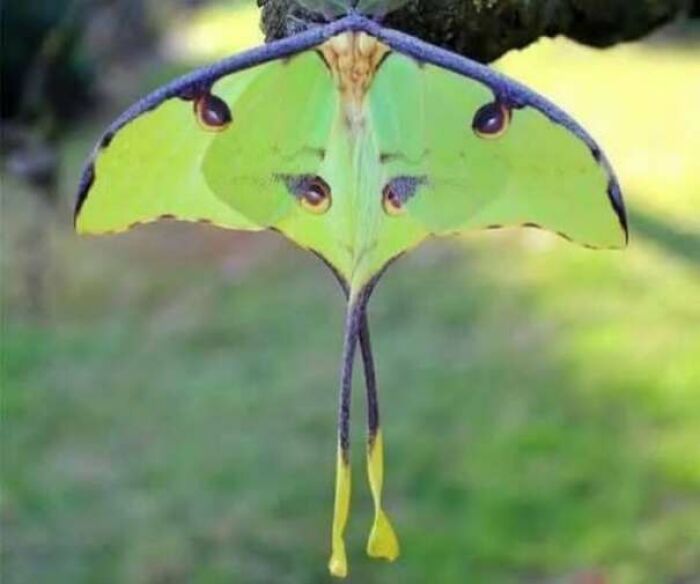 80 Random Objects That Accidentally Look Like They&rsquo;re Staring Right At You