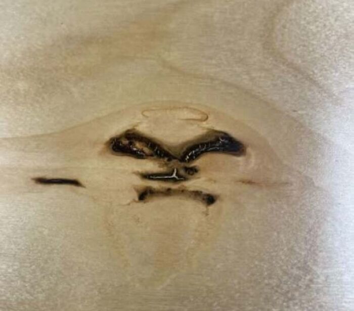 80 Random Objects That Accidentally Look Like They&rsquo;re Staring Right At You