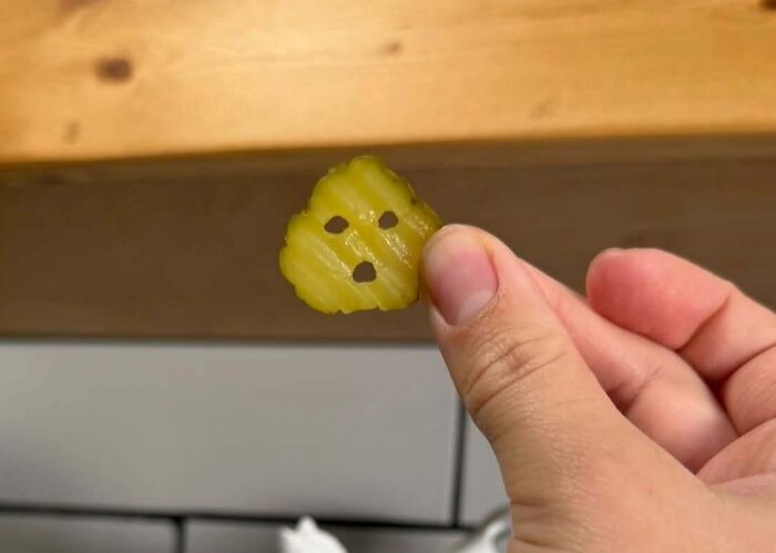 80 Random Objects That Accidentally Look Like They&rsquo;re Staring Right At You