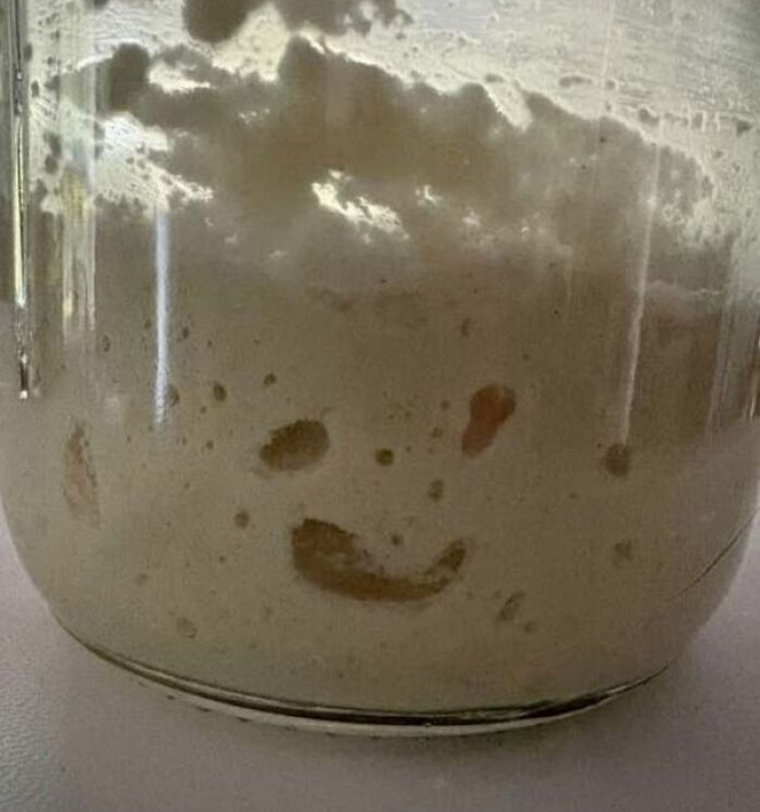 80 Random Objects That Accidentally Look Like They&rsquo;re Staring Right At You