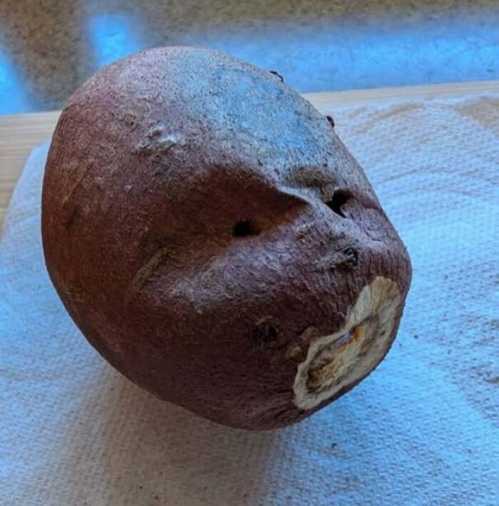 80 Random Objects That Accidentally Look Like They&rsquo;re Staring Right At You