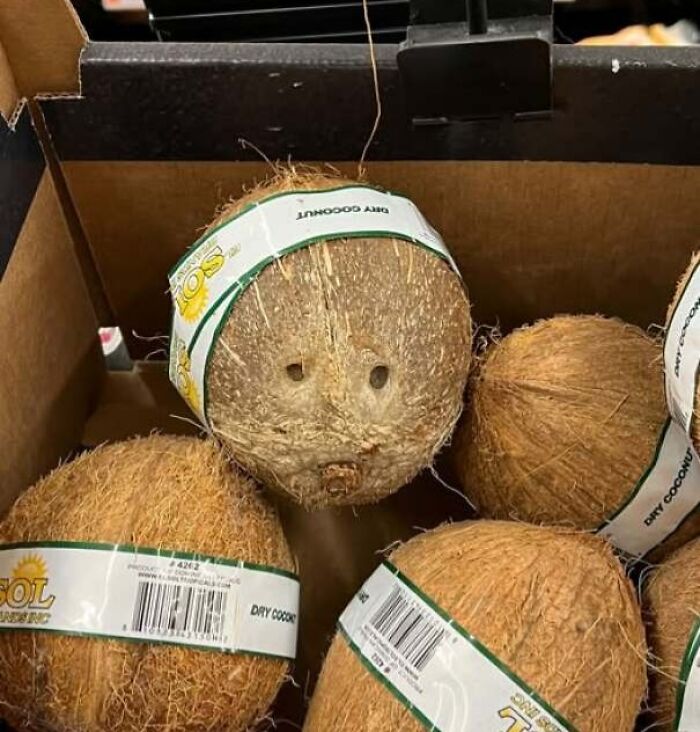 80 Random Objects That Accidentally Look Like They&rsquo;re Staring Right At You