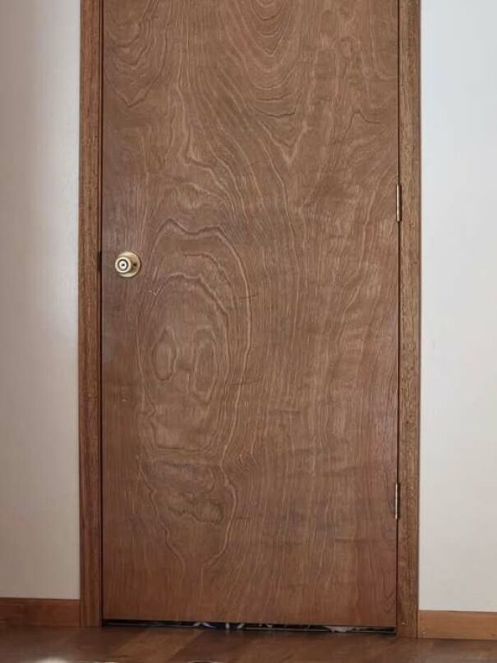 80 Random Objects That Accidentally Look Like They&rsquo;re Staring Right At You