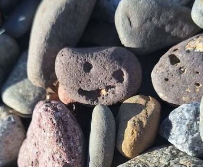 80 Random Objects That Accidentally Look Like They&rsquo;re Staring Right At You