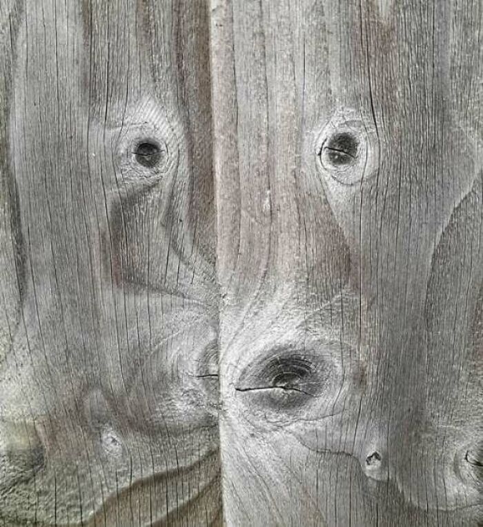 80 Random Objects That Accidentally Look Like They&rsquo;re Staring Right At You