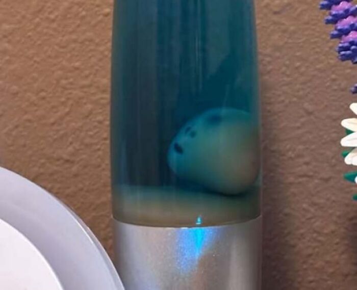 80 Random Objects That Accidentally Look Like They&rsquo;re Staring Right At You
