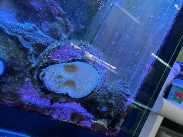 80 Random Objects That Accidentally Look Like They&rsquo;re Staring Right At You