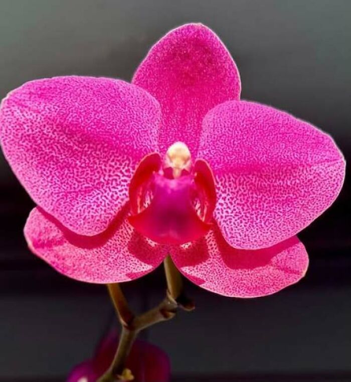 80 Random Objects That Accidentally Look Like They&rsquo;re Staring Right At You