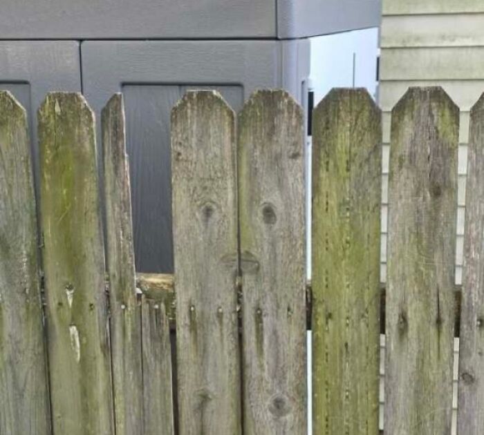 80 Random Objects That Accidentally Look Like They&rsquo;re Staring Right At You