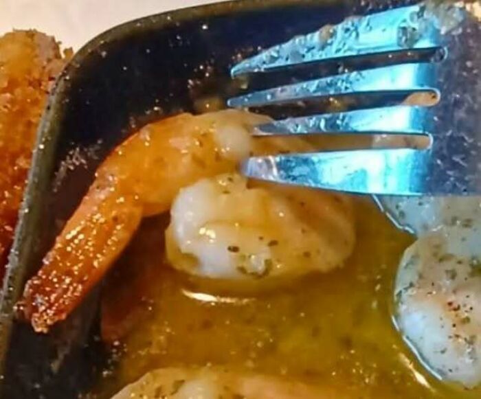 80 Random Objects That Accidentally Look Like They&rsquo;re Staring Right At You