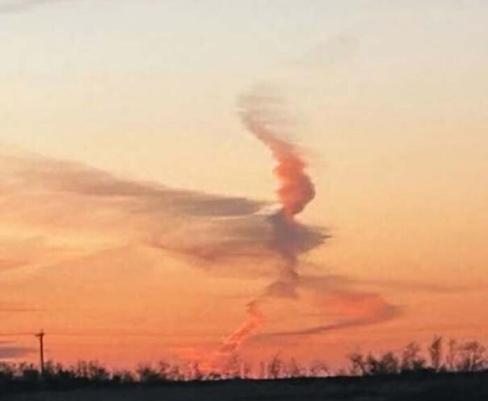 80 Random Objects That Accidentally Look Like They&rsquo;re Staring Right At You