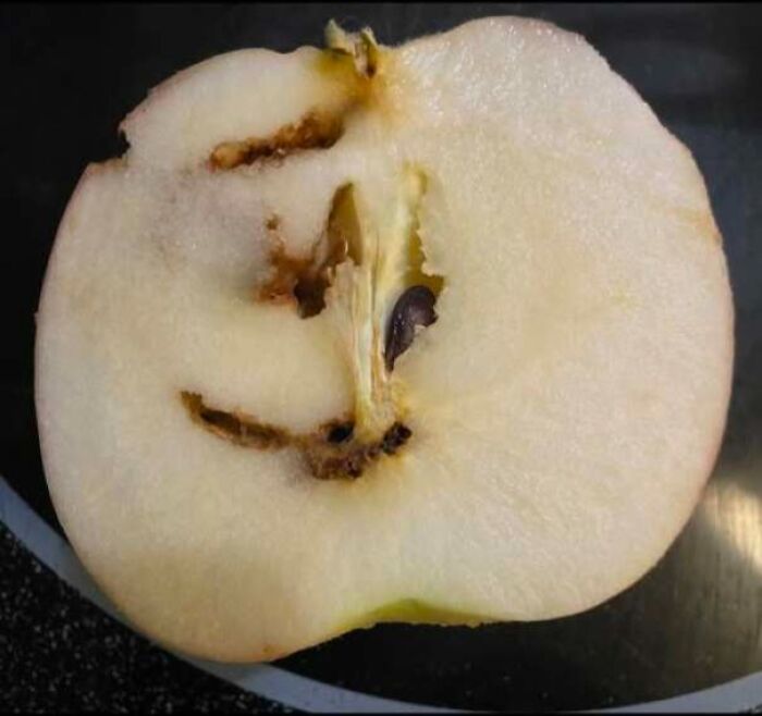 80 Random Objects That Accidentally Look Like They&rsquo;re Staring Right At You