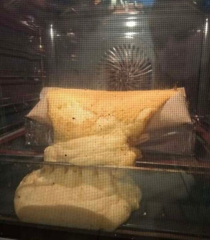 80 Random Objects That Accidentally Look Like They&rsquo;re Staring Right At You