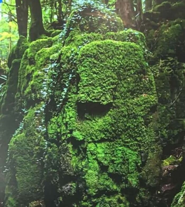 80 Random Objects That Accidentally Look Like They&rsquo;re Staring Right At You