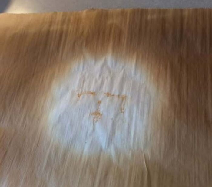 80 Random Objects That Accidentally Look Like They&rsquo;re Staring Right At You