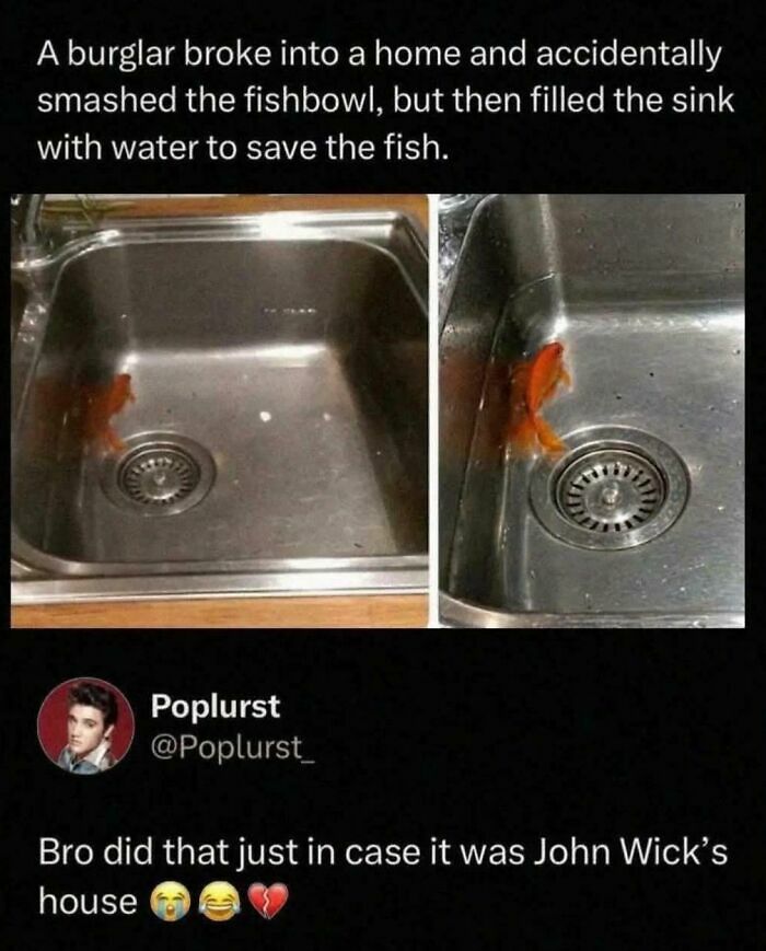 54 People Made Ridiculous Claims And Got The Perfect Responses In Return (New Pics) 54 People Made Ridiculous Claims And Got The Perfect Responses In Return (New Pics)