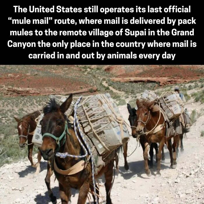 78 Very Strange Tidbits About The Past From A Page Dedicated To “Weird Things About History” (New Pics) 78 Very Strange Tidbits About The Past From A Page Dedicated To “Weird Things About History” (New Pics)