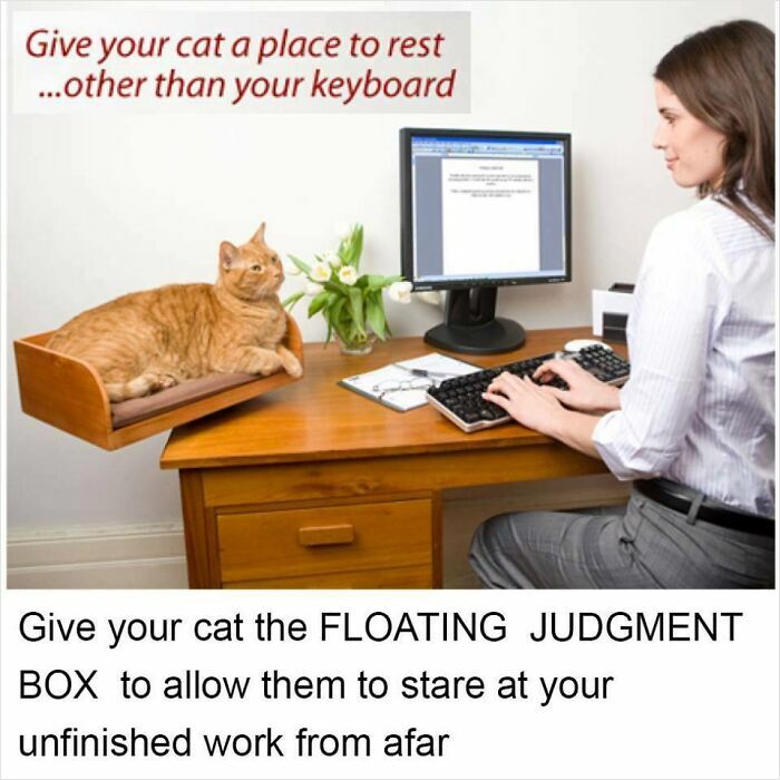 67 Old-School Memes To Remind You What The Internet Is For – Cats 67 Old-School Memes To Remind You What The Internet Is For – Cats