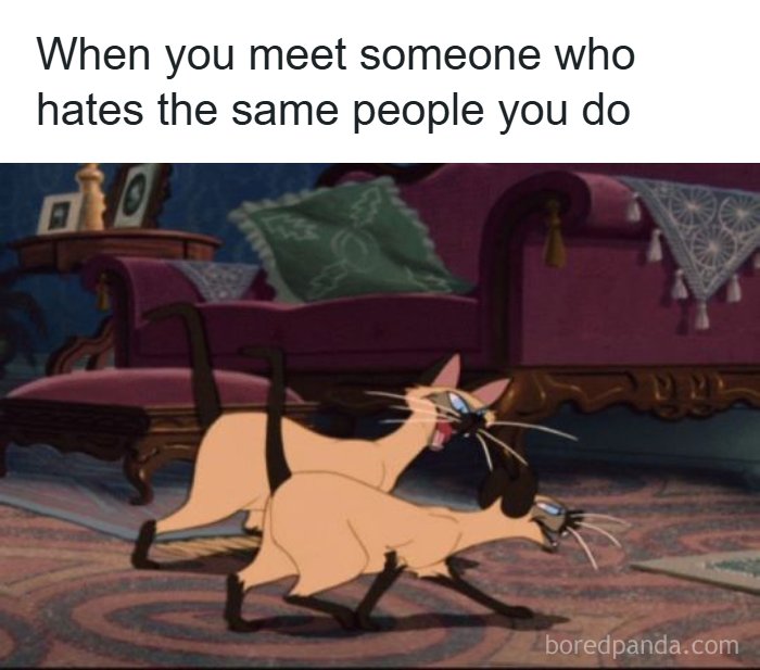 67 Old-School Memes To Remind You What The Internet Is For – Cats 67 Old-School Memes To Remind You What The Internet Is For – Cats