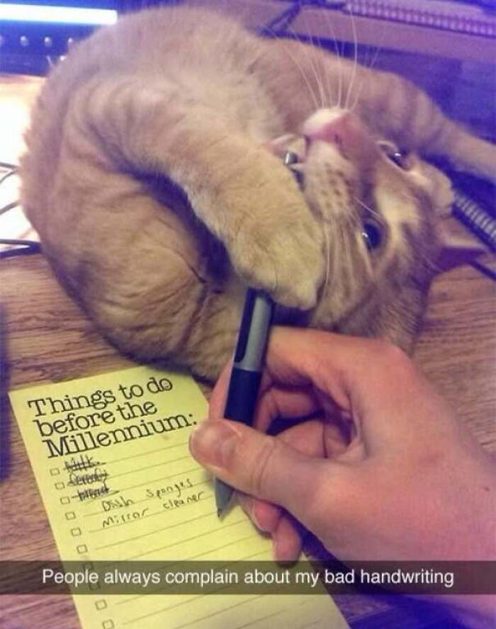 67 Old-School Memes To Remind You What The Internet Is For – Cats 67 Old-School Memes To Remind You What The Internet Is For – Cats