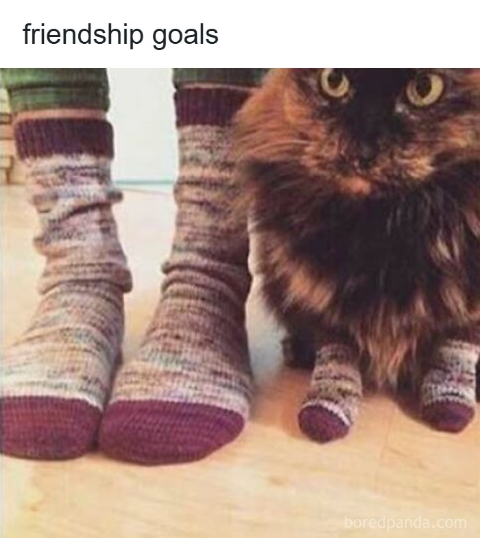 67 Old-School Memes To Remind You What The Internet Is For – Cats 67 Old-School Memes To Remind You What The Internet Is For – Cats