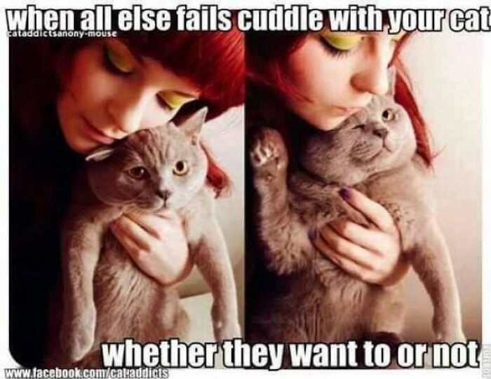 67 Old-School Memes To Remind You What The Internet Is For – Cats 67 Old-School Memes To Remind You What The Internet Is For – Cats