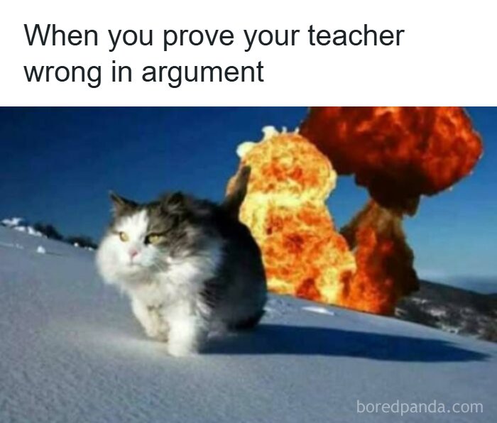 67 Old-School Memes To Remind You What The Internet Is For – Cats 67 Old-School Memes To Remind You What The Internet Is For – Cats