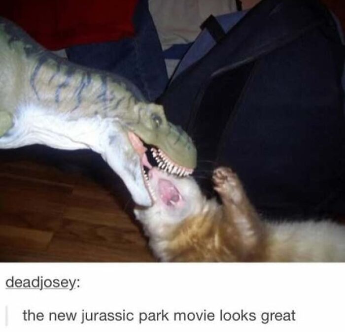 67 Old-School Memes To Remind You What The Internet Is For – Cats 67 Old-School Memes To Remind You What The Internet Is For – Cats