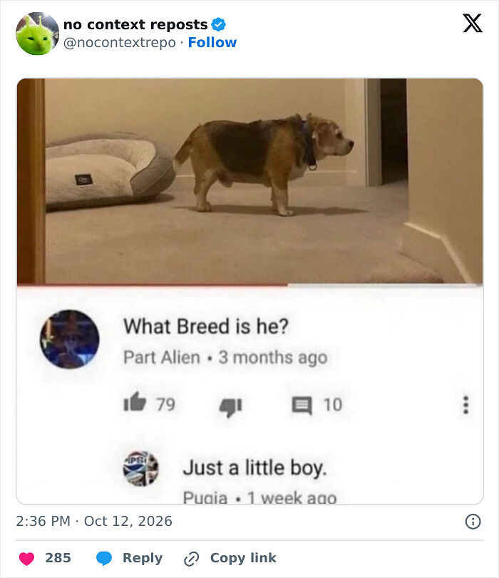 59 Random Memes That Feel Like The Internet Let Its Intrusive Thoughts Win 59 Random Memes That Feel Like The Internet Let Its Intrusive Thoughts Win
