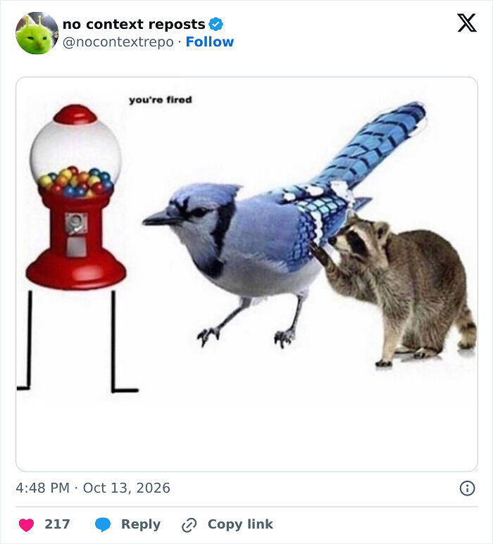 59 Random Memes That Feel Like The Internet Let Its Intrusive Thoughts Win 59 Random Memes That Feel Like The Internet Let Its Intrusive Thoughts Win