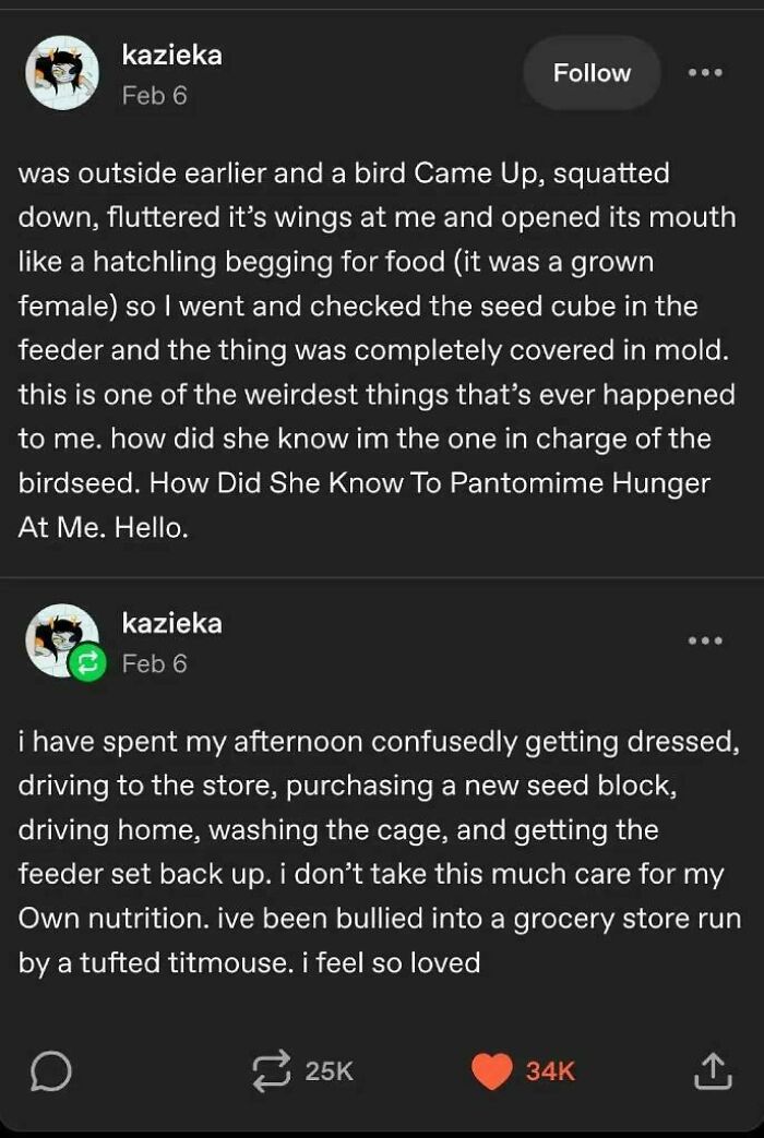 60 Random Tumblr Posts That Somehow Make Perfect Sense (New Pics) 60 Random Tumblr Posts That Somehow Make Perfect Sense (New Pics)