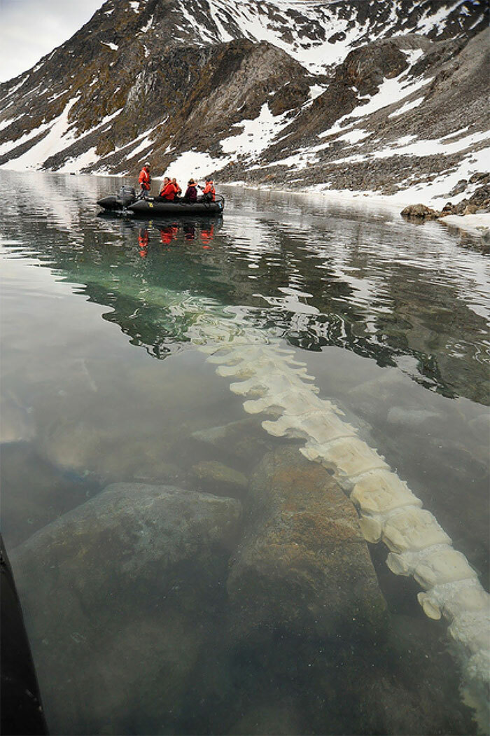 89 Creepy Deep-Water Photos That Might Stay In Your Head For A While