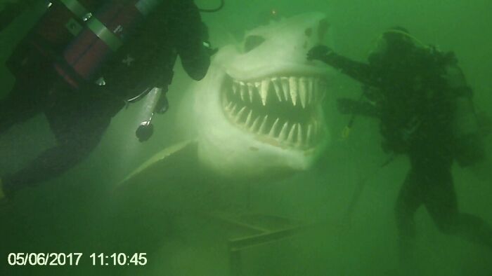 89 Creepy Deep-Water Photos That Might Stay In Your Head For A While