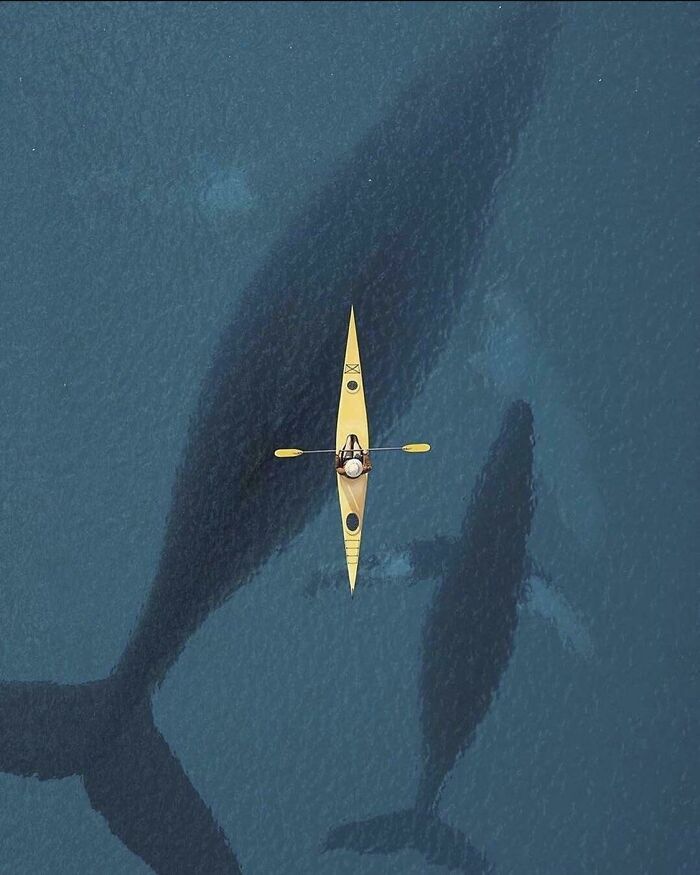 89 Creepy Deep-Water Photos That Might Stay In Your Head For A While