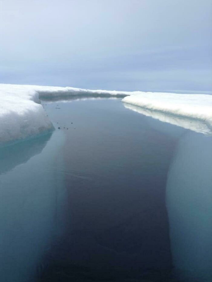 89 Creepy Deep-Water Photos That Might Stay In Your Head For A While