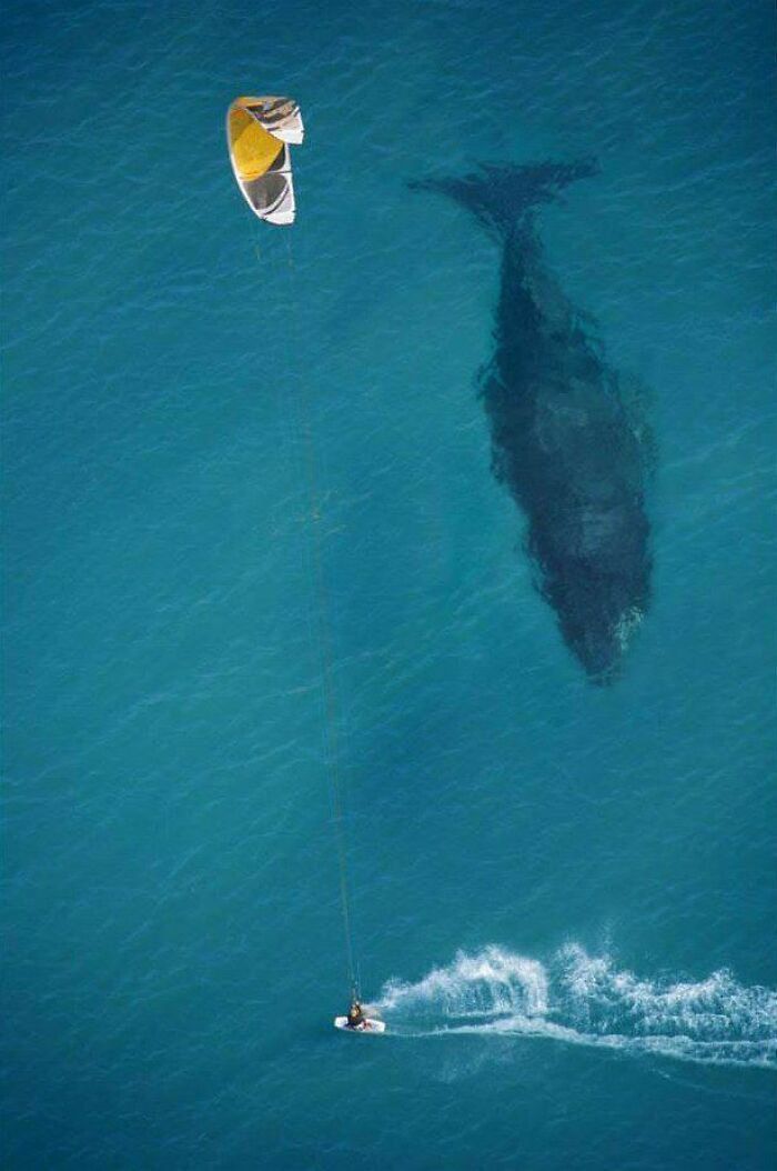 89 Creepy Deep-Water Photos That Might Stay In Your Head For A While