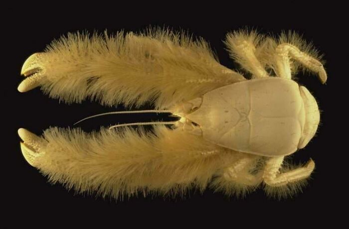 89 Creepy Deep-Water Photos That Might Stay In Your Head For A While