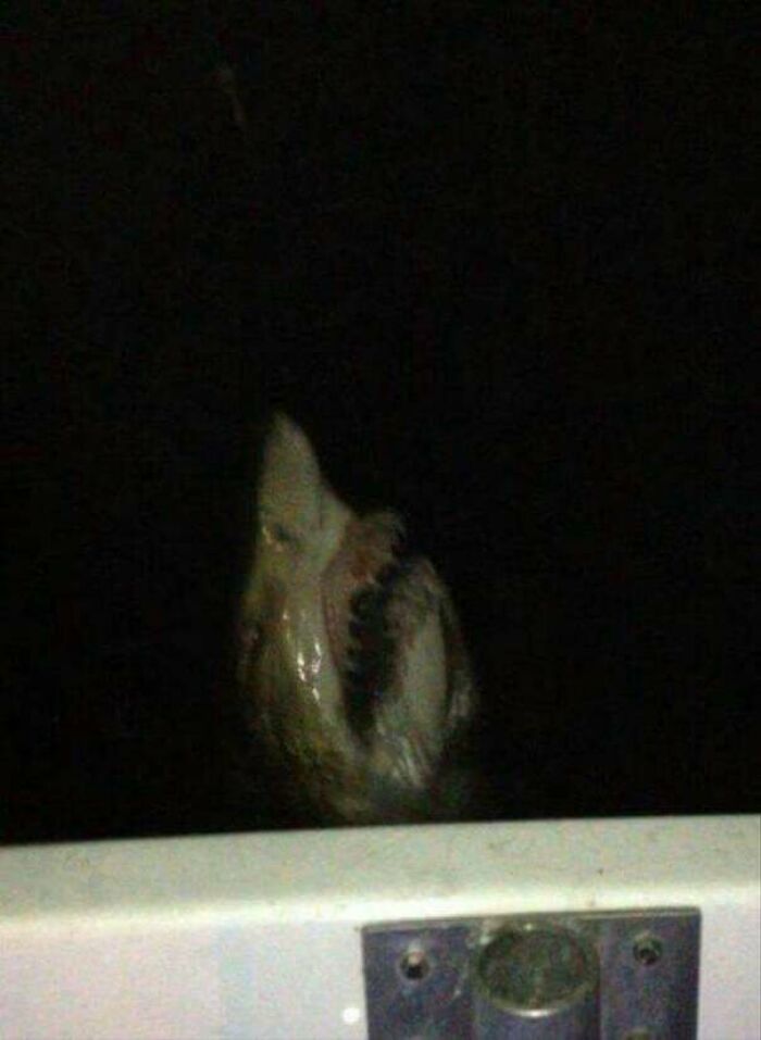 89 Creepy Deep-Water Photos That Might Stay In Your Head For A While