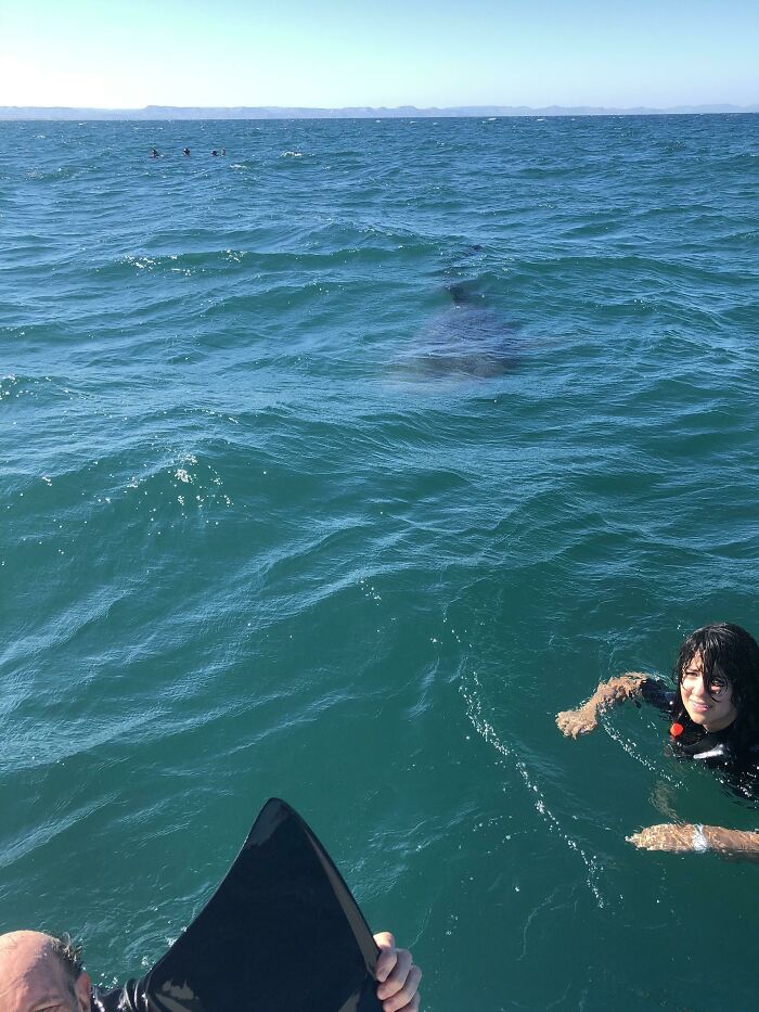 89 Creepy Deep-Water Photos That Might Stay In Your Head For A While