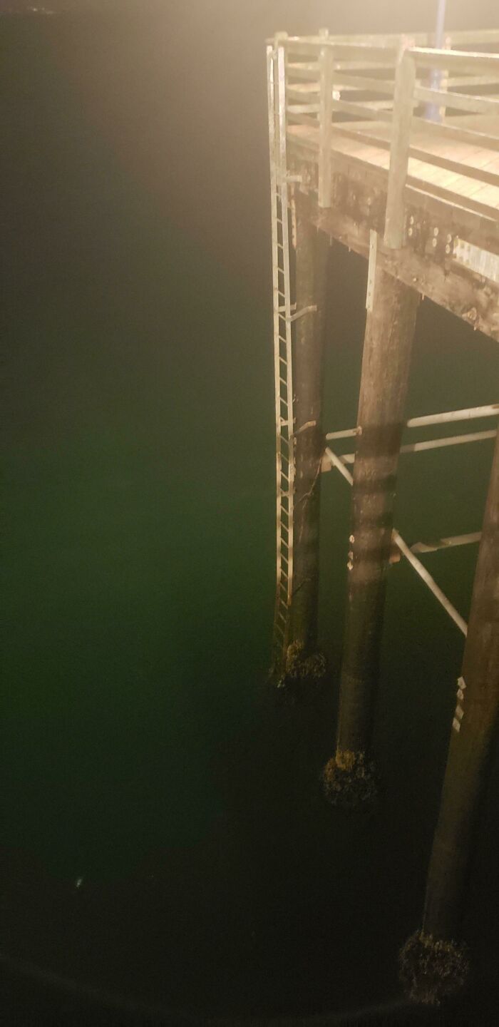 89 Creepy Deep-Water Photos That Might Stay In Your Head For A While