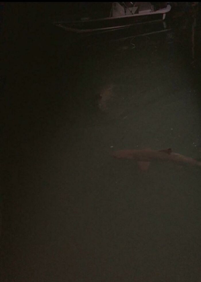 89 Creepy Deep-Water Photos That Might Stay In Your Head For A While