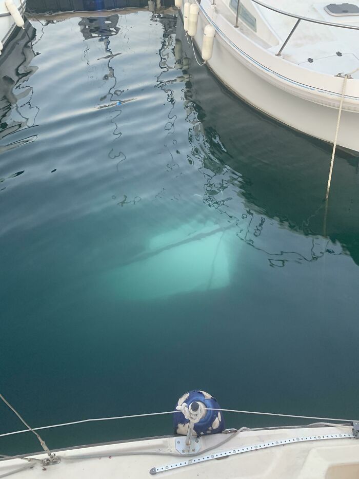 89 Creepy Deep-Water Photos That Might Stay In Your Head For A While